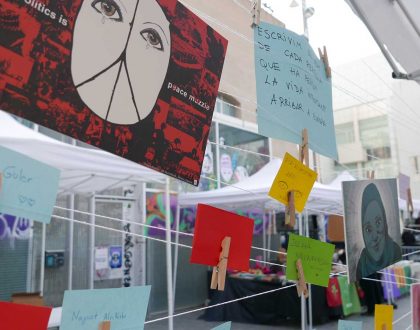 Rostres de la Mediterrània exposats al públic